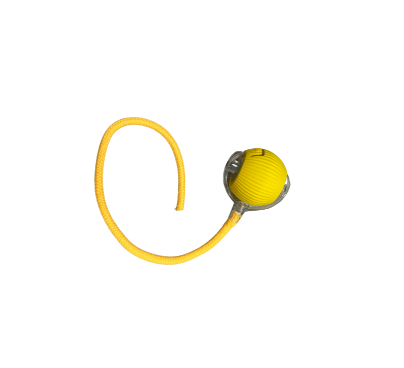 PfotenSpaß Interaktiv – Interaktives Haustierspielzeug