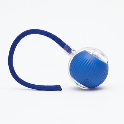 PfotenSpaß Interaktiv – Interaktives Haustierspielzeug