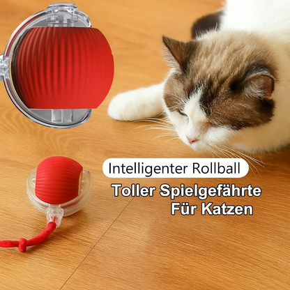 PfotenSpaß Interaktiv – Interaktives Haustierspielzeug