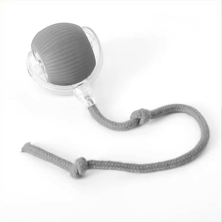 PfotenSpaß Interaktiv – Interaktives Haustierspielzeug