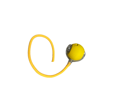 PfotenSpaß Interaktiv – Interaktives Haustierspielzeug