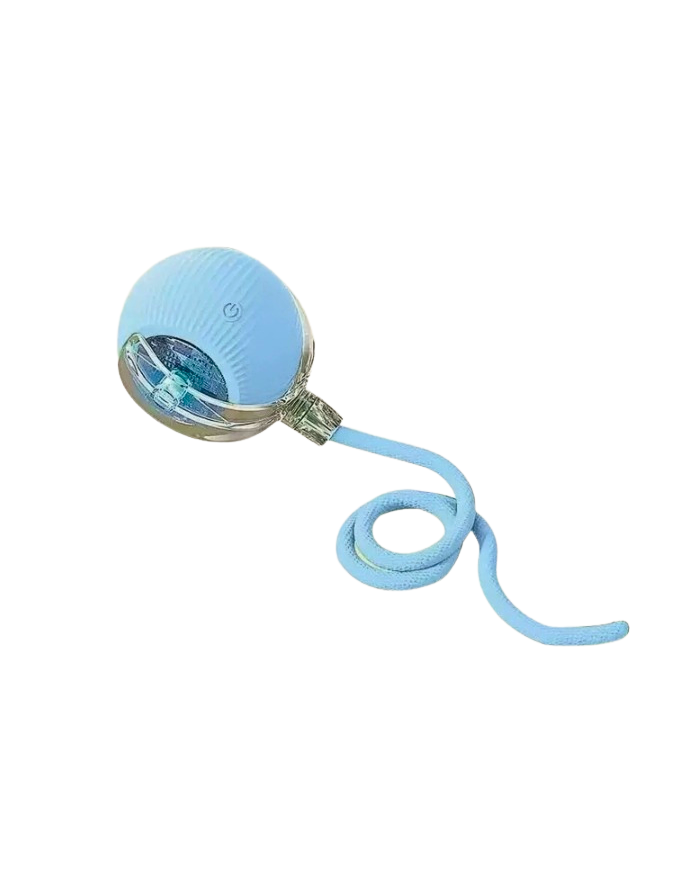 PfotenSpaß Interaktiv – Interaktives Haustierspielzeug