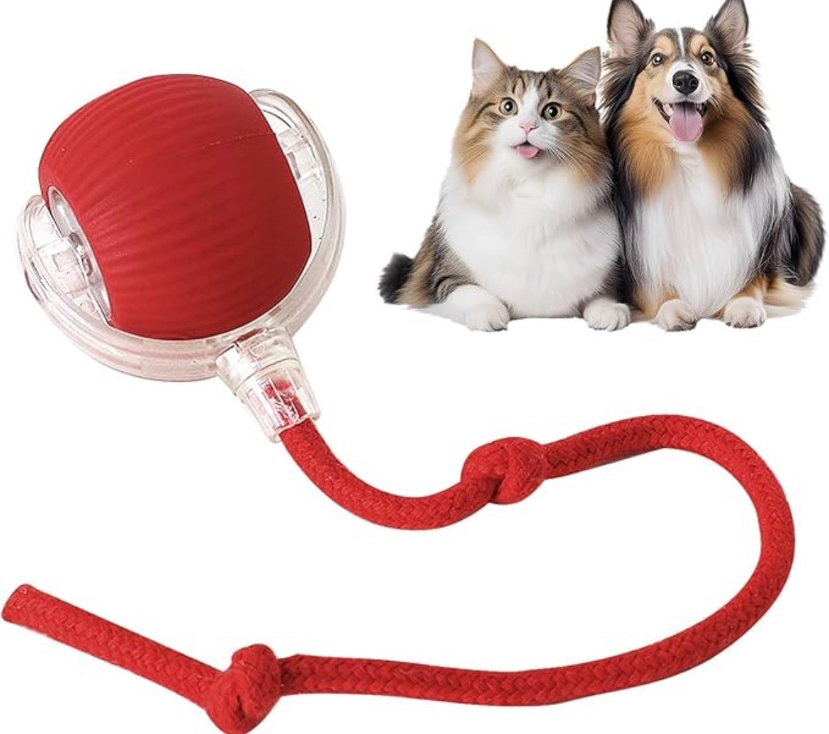 PetBounty PfotenSpaß Interaktiv 360°