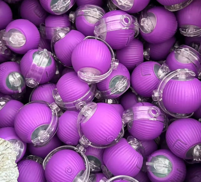 PfotenSpaß Interaktiv – Interaktives Haustierspielzeug